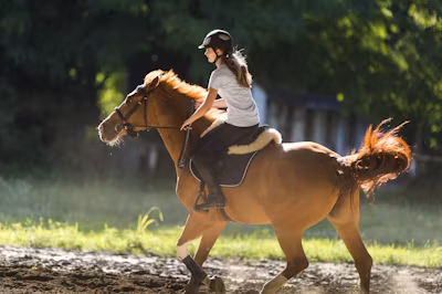 what is a riding crop