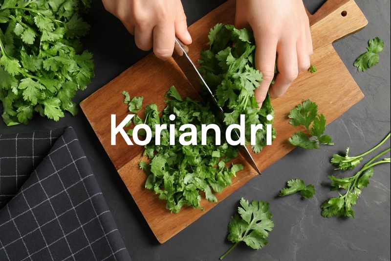 Koriandri: A Complete Guide to the Versatile Herb 2026 koriandri